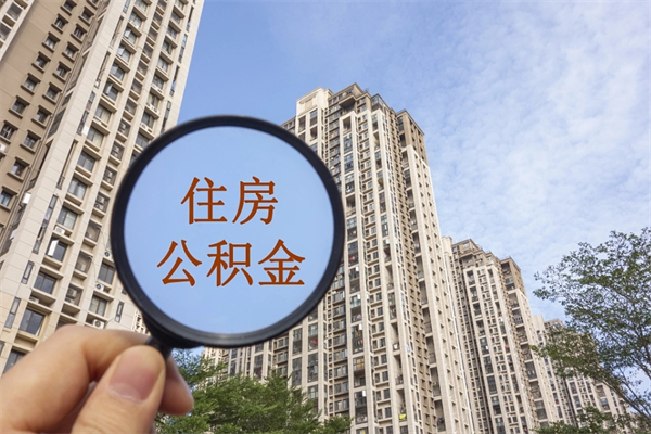 肇庆深圳公积金（深圳公积金首页）